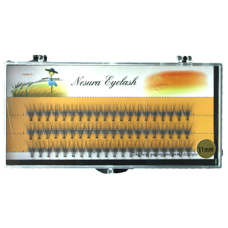 Single Plant And Single Cluster Planting Eyelashes