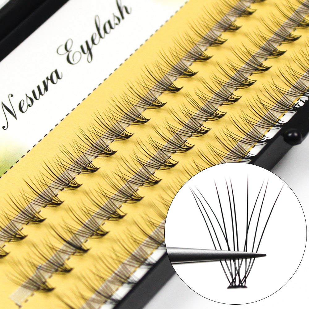 Single Plant And Single Cluster Planting Eyelashes