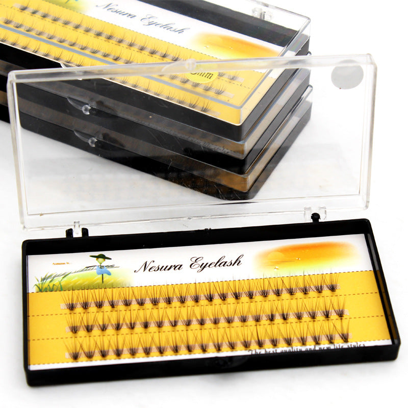 Single Plant And Single Cluster Planting Eyelashes
